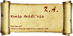 Kneip Antónia névjegykártya