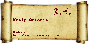 Kneip Antónia névjegykártya