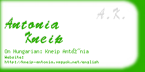 antonia kneip business card